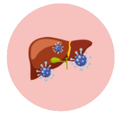 Hepatitis